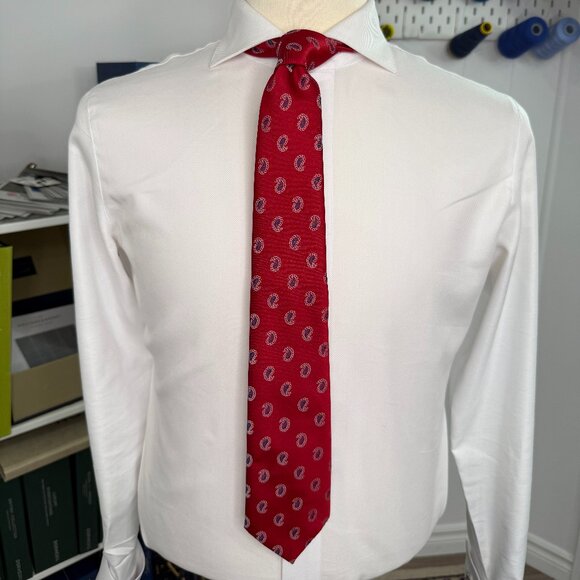 Gorgeous Paisley Tie - Picture 1 of 3